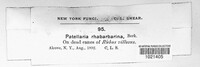 Image Associated With the Occurence